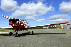 Scottish Aviation Bulldog T.Mk-1 SUr parking
