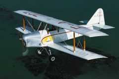 Caudron luciole