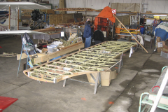 Reconstruction des ailes et nervures